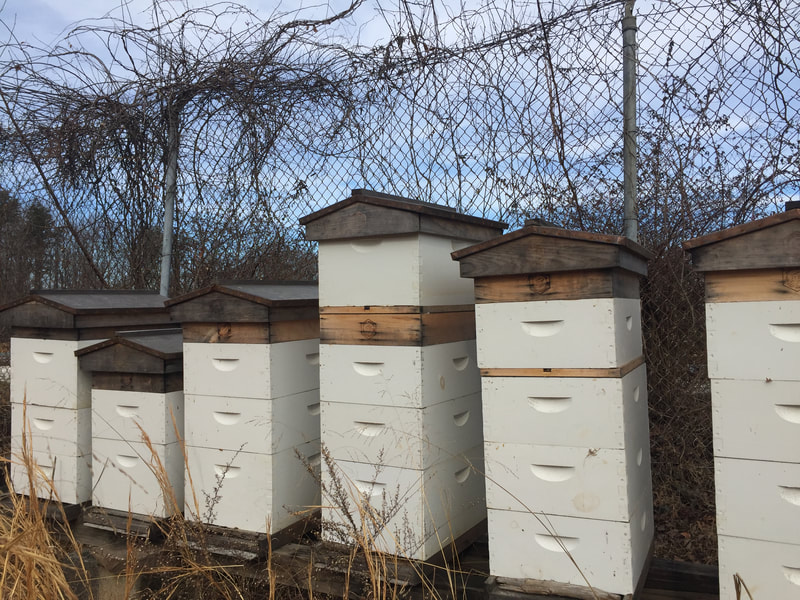 Luxury housing for the bees that keep the farm growing.