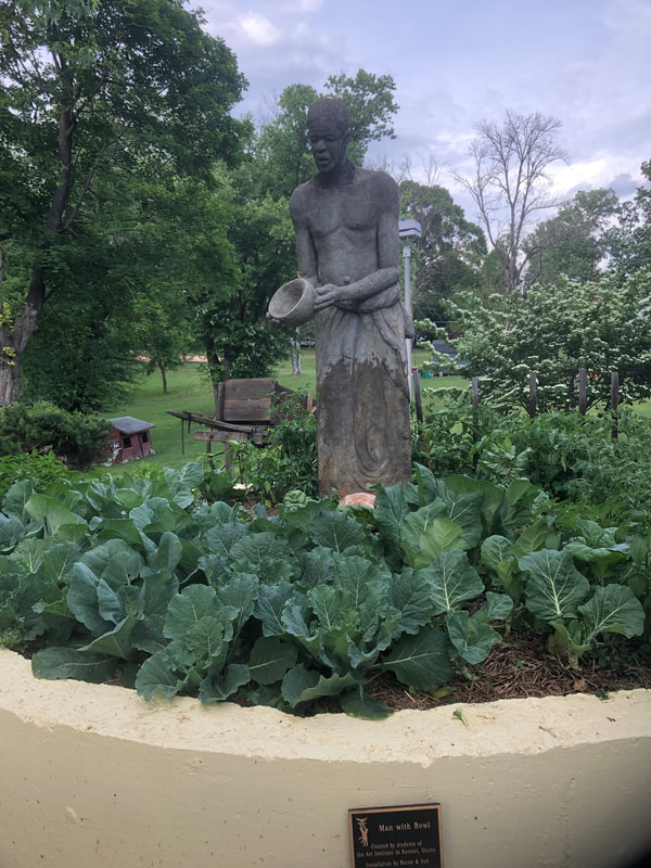 Napa cabbage, mint, parsley,cilantro, tomatoes, collard greens in the statue garden.
